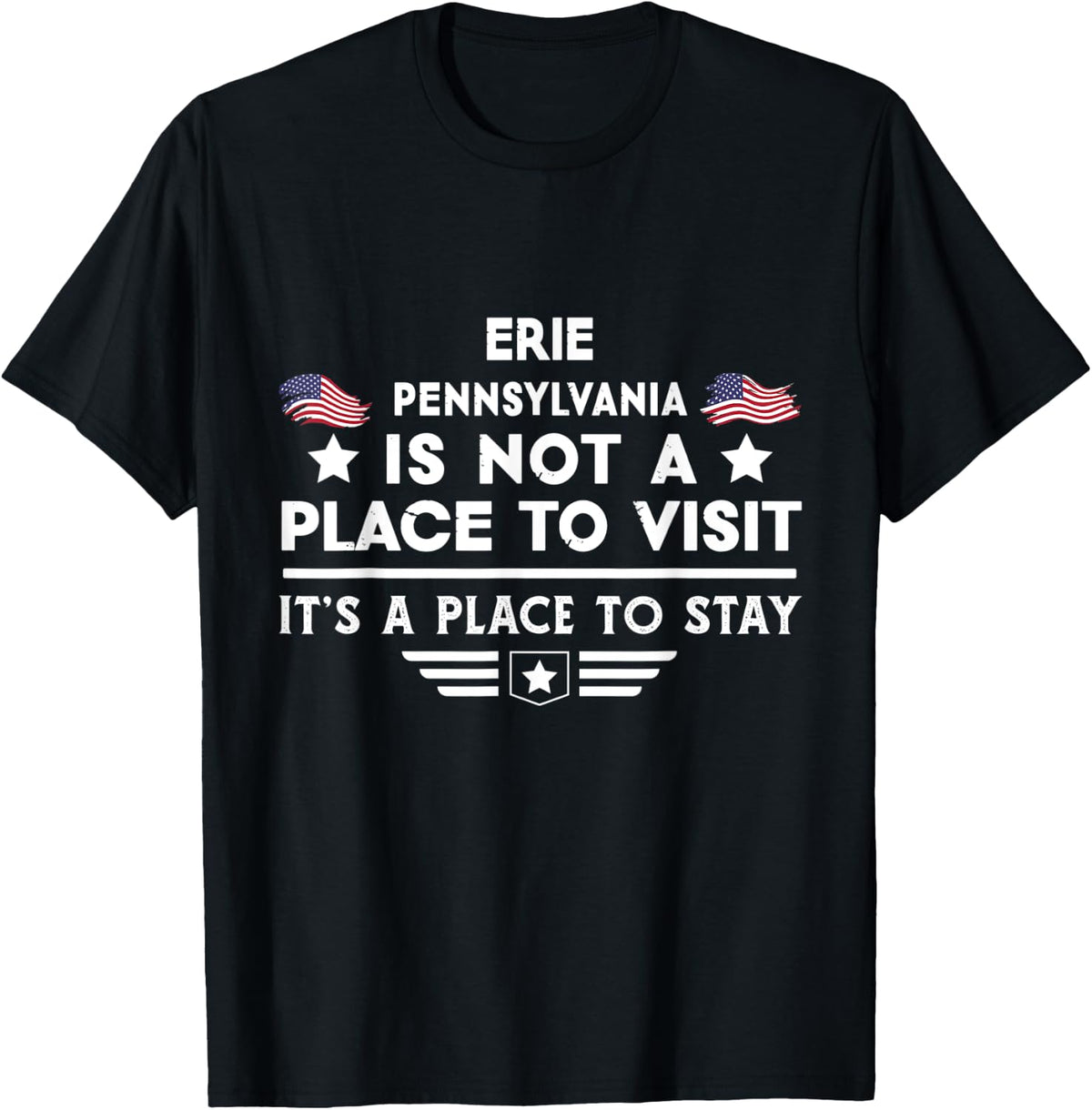 Erie Pennsylvania Place to stay USA Town Home City Apparel | Bestseller Style | Aesthetic Casual Look