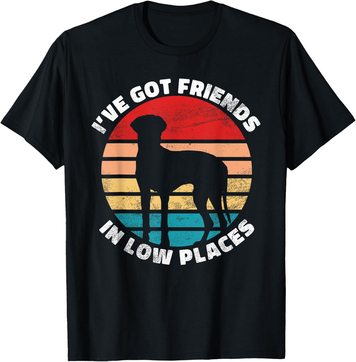 I have got Friend in low Places Great Dane Apparel | Trending 2025 | Perfect Gift Choice