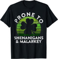 Prone To Shenanigans & Malarkey Gift Sunset St Patricks Day Apparel | Everyday Casual Wear