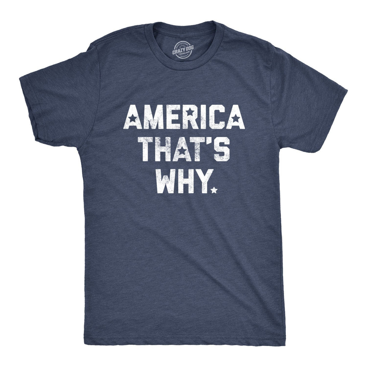Mens Independence Day T Shirt4th July Celebration America That39s Why ShirtAmerica Shirt Guys Party Shirts Patriotic Beer Shirt Graphic Tee – Fan Favorite · Great Gift For Fans