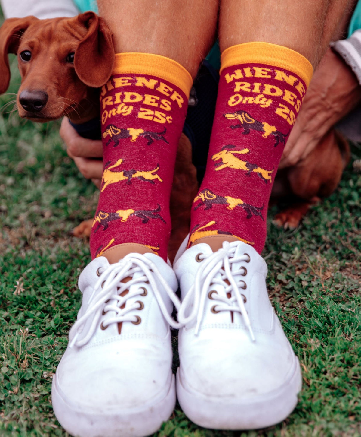 Weiner Rides 25c Dog Dad Socks Dog Socks Funny Socks Funny Dog Socks Innuendo Socks Gifts for Dad Dad Socks Dog Dad For Him Graphic Tee – Cozy Vibes · Trending Graphic Apparel