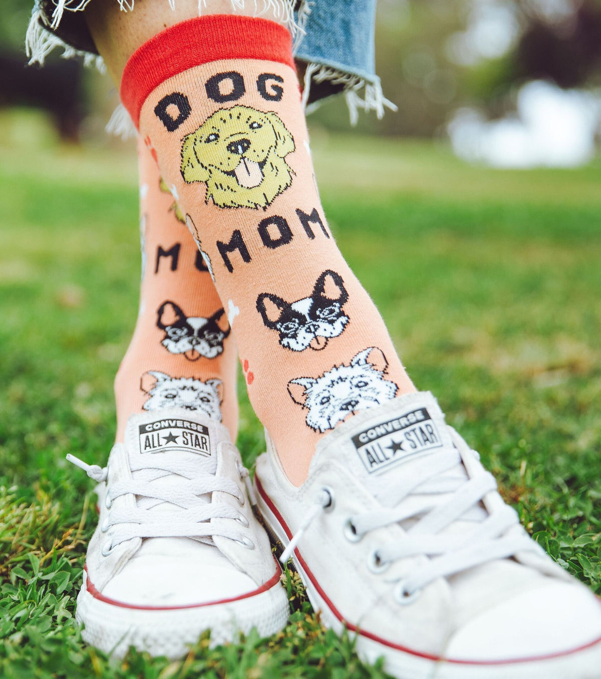 Dog Socks Dog Mom Socks Dog Lover Gifts Womens Novelty Socks Floral Womens Socks Funny Socks Women Dog Socks For Women Graphic Tee – Warm & Stylish · Perfect For Daily Wear