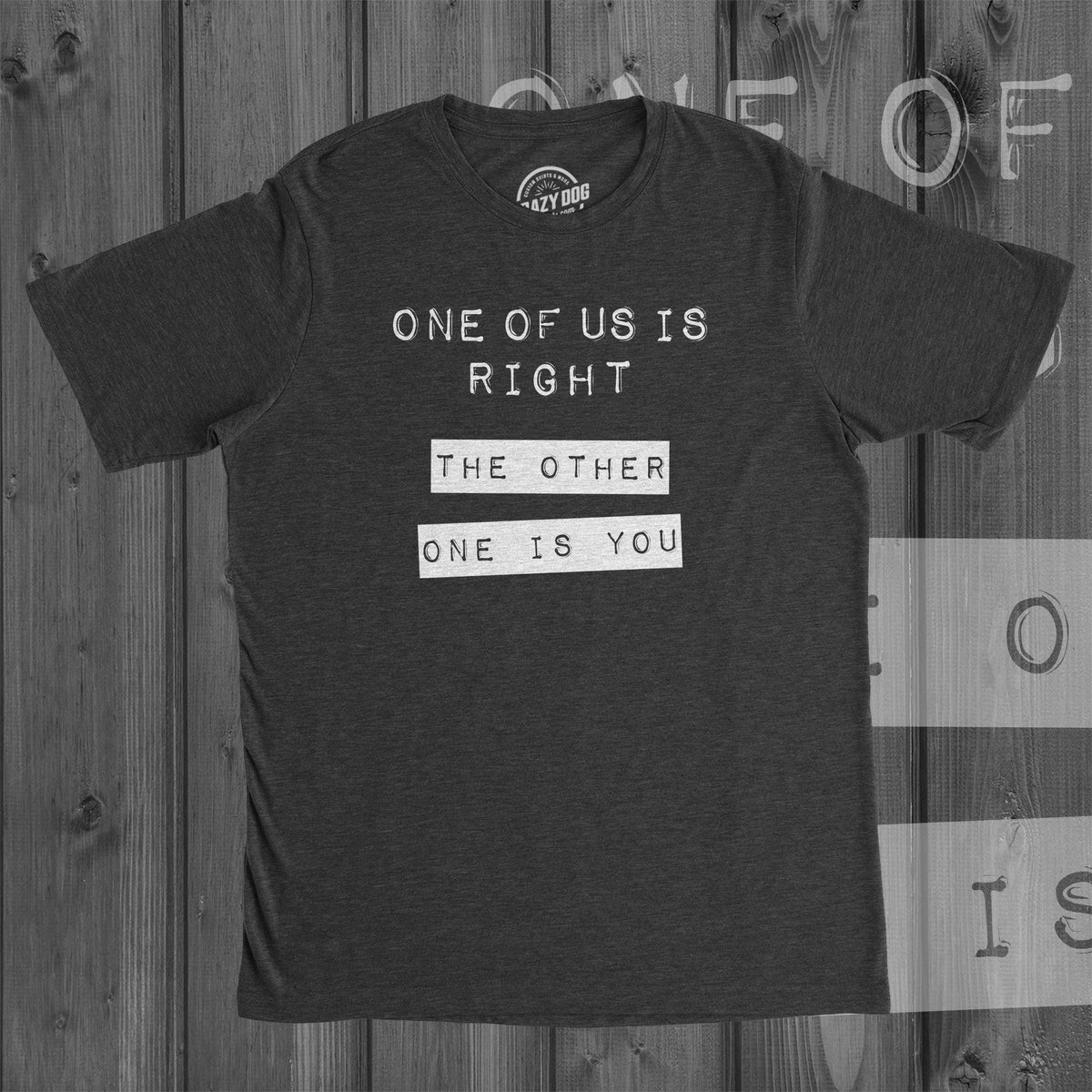 Sarcastic Shirts Men Always Right Shirt Hilarious Shirt Shirts With Funny Sayings Funny Mens Shirt Offensive Shirt One of Us Is Right Graphic Tee – Fan Favorite · Perfect For Daily Wear