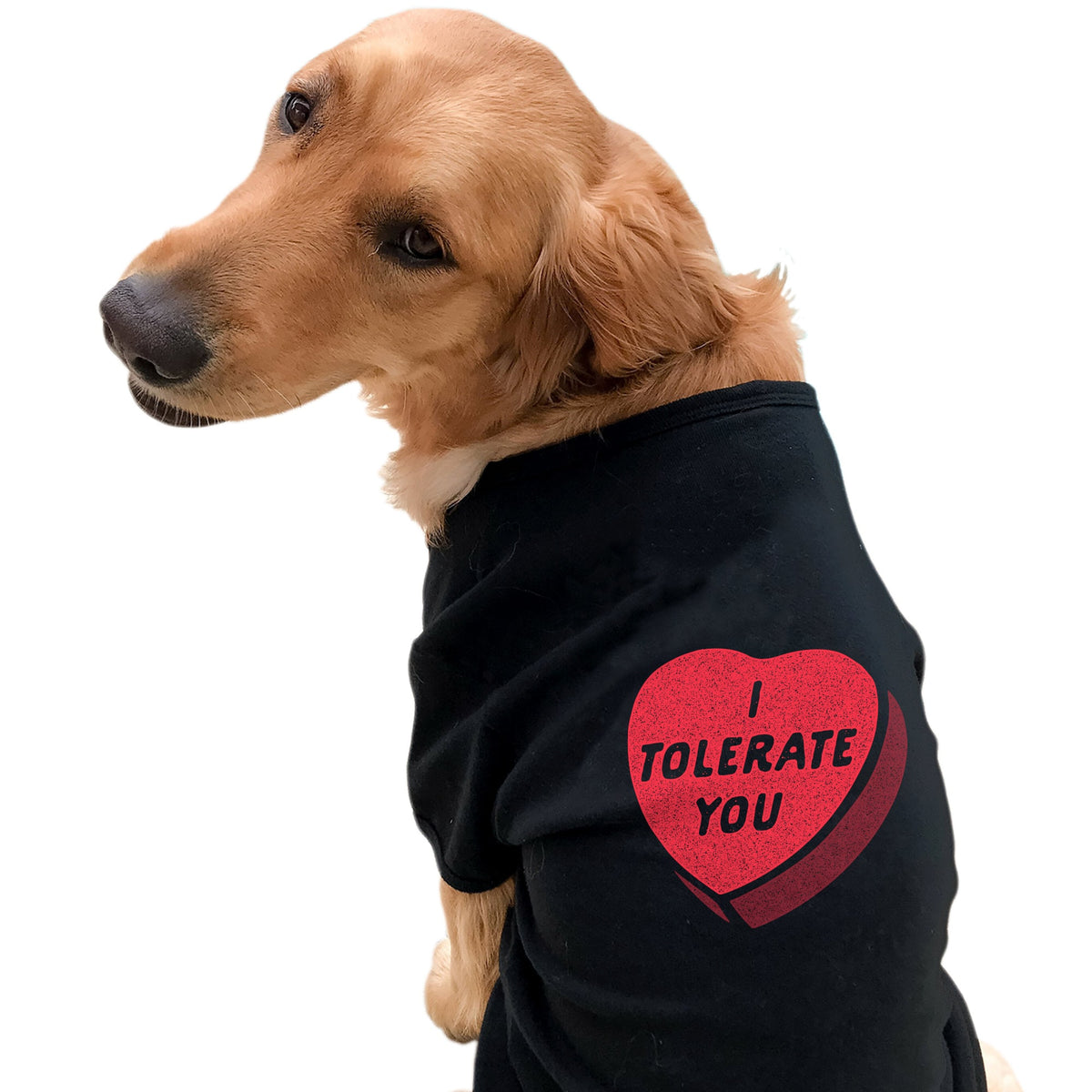 I Tolerate You Dog T Shirt Candy Heart Valentine39s Day Shirts Cute Dog Clothes Funny Dog T Shirt Dog Apparel Novelty Dog Shirt Graphic Tee – Bold Style · Must-Have Style