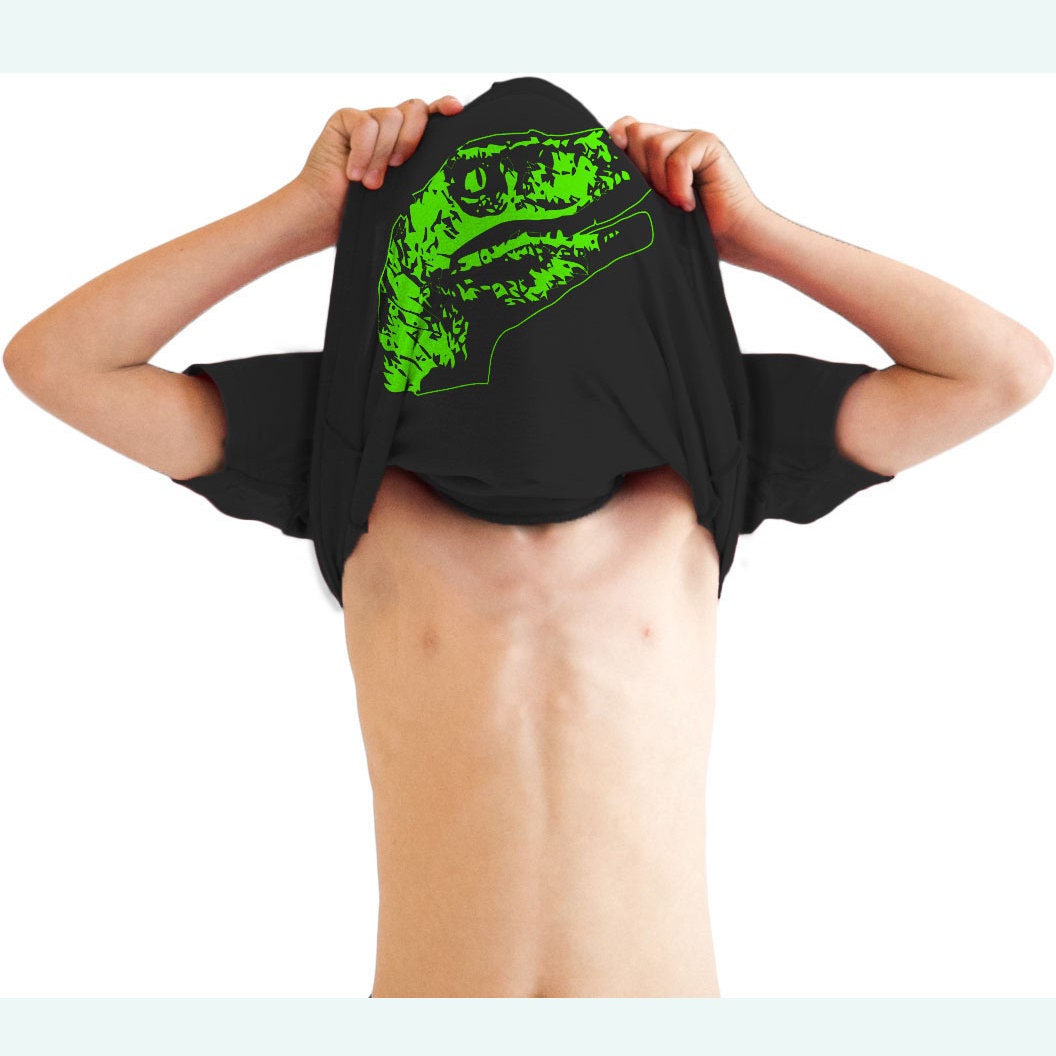 Dinosaur Shirt Youth Raptor Flip Shirt Kids Dinosaur Tee Childs Funny Shirts Ask About My Raptor Boys Dino Shirt Kids Shirt Age 5 6 Graphic Tee – Bold Style · Must-Have Style